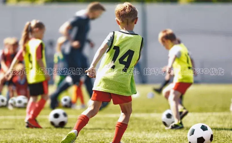 贝博APP体育网页华扬联众成为专业足球运动员的成功之道：攻略、技巧与实践百度SEO优化