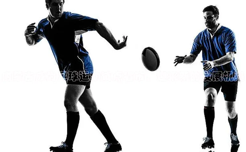 贝博APP体育网页百度搜索资源平台内蒙古成为足球运动试点省市，迎来新的发展机遇