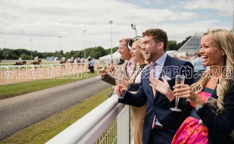 透视运动激情：一场精彩赛事的大观园