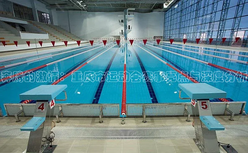 奔腾的激情：重庆市运动会赛事亮点与深度分析