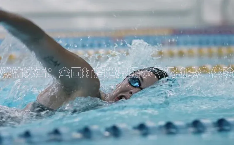 燃情冰雪：全面打造世界级冬季运动赛事体验