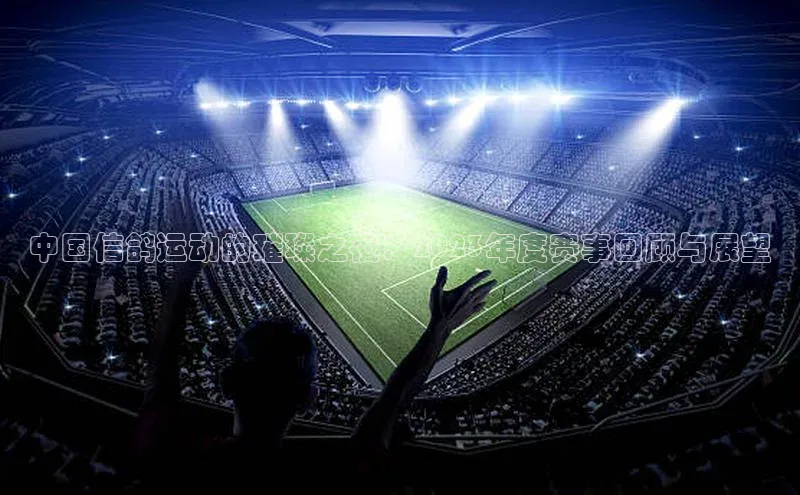 中国信鸽运动的璀璨之夜：2023年度赛事回顾与展望