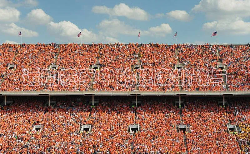 运动赛事中的健康挑战与