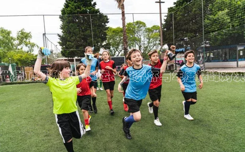 世界顶级赛事：奥运、世界杯与年度巅峰对决