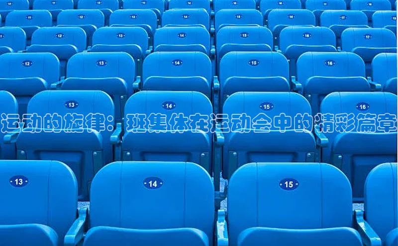 BB贝博艾弗森官方网站