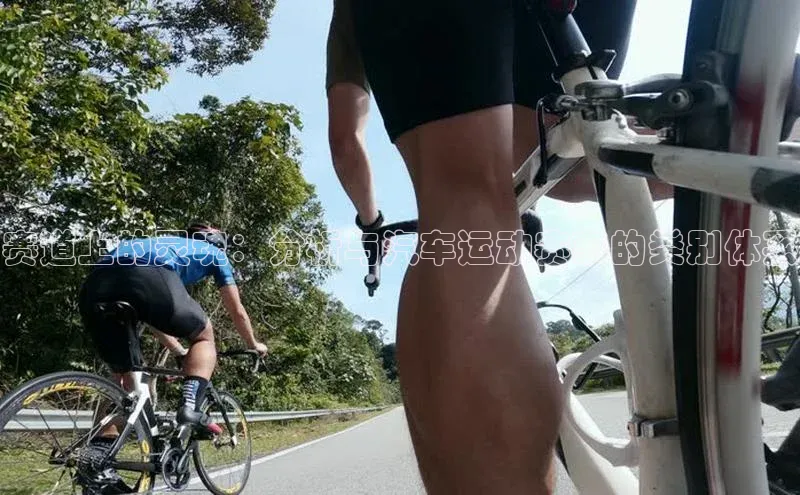 BB贝博ballbet登录入口