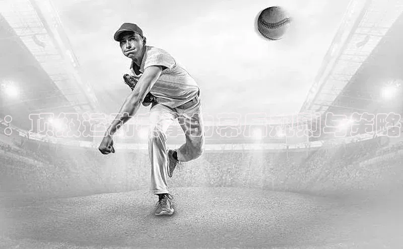 贝博平台网站谁知道