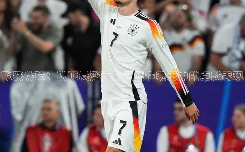 贝博betball体育app下载