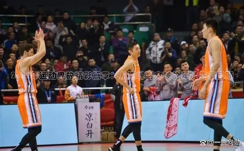 贝博官网下载app